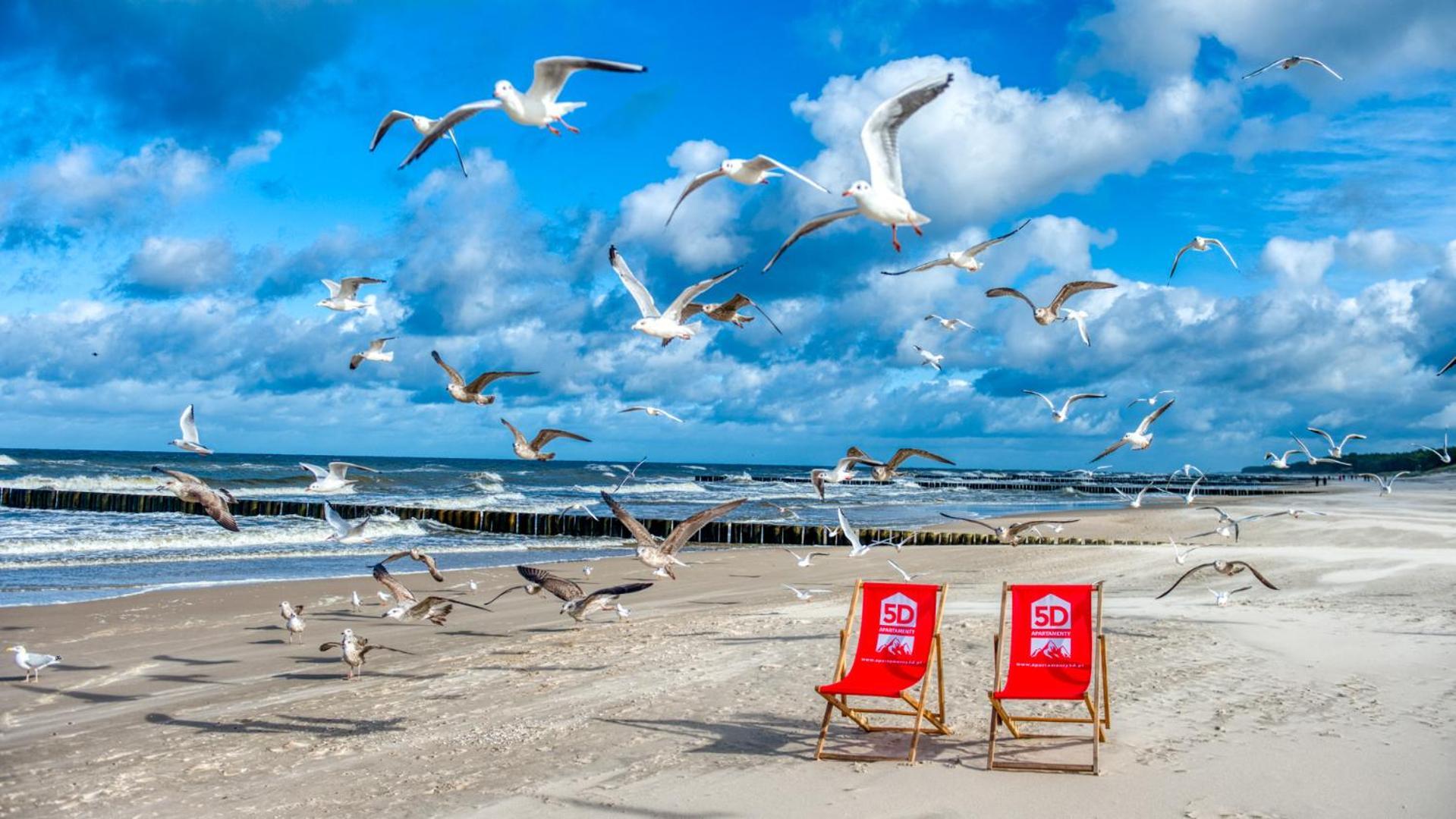 Rezydencja Niechorze 213 - 5D Apartamenty Dış mekan fotoğraf